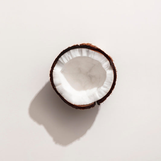 Tallow vs Coconut Oil